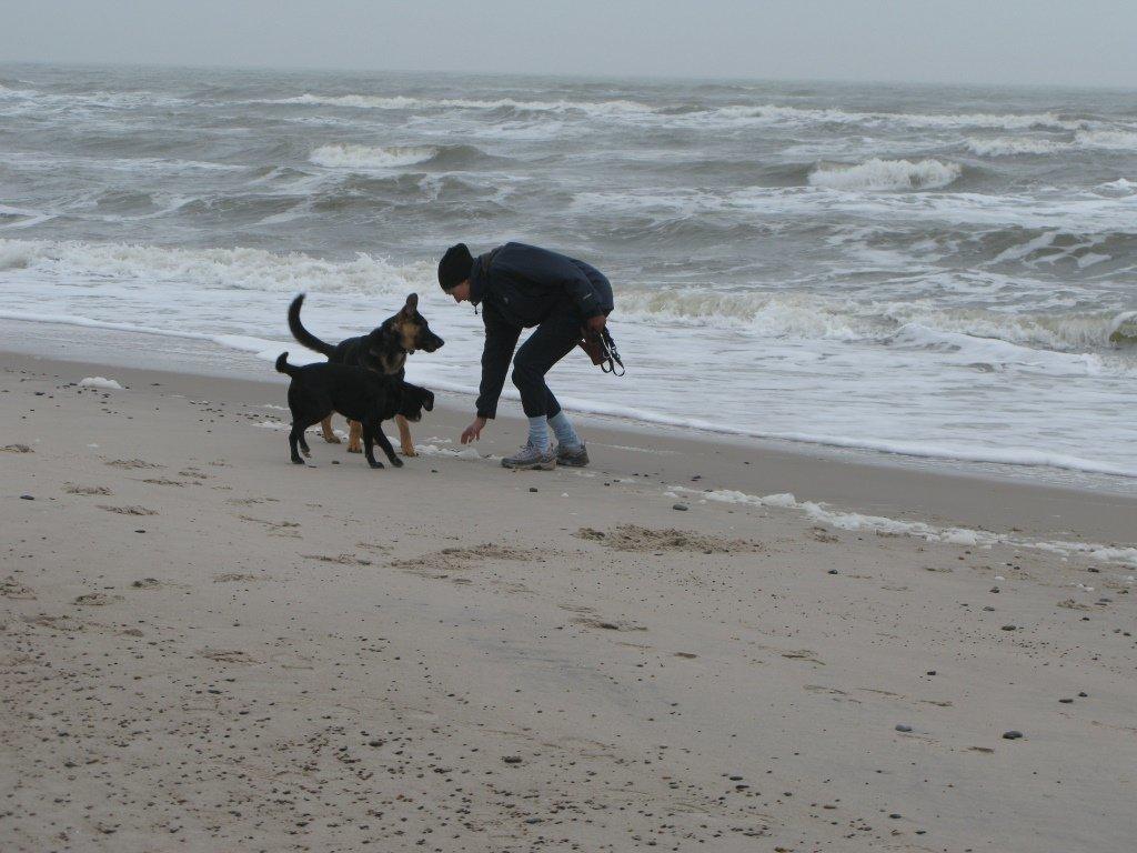 Blanding af racer Barney - Vinter 2012 billede 8