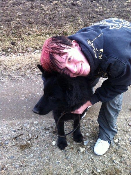 Schæferhund Bamse billede 6