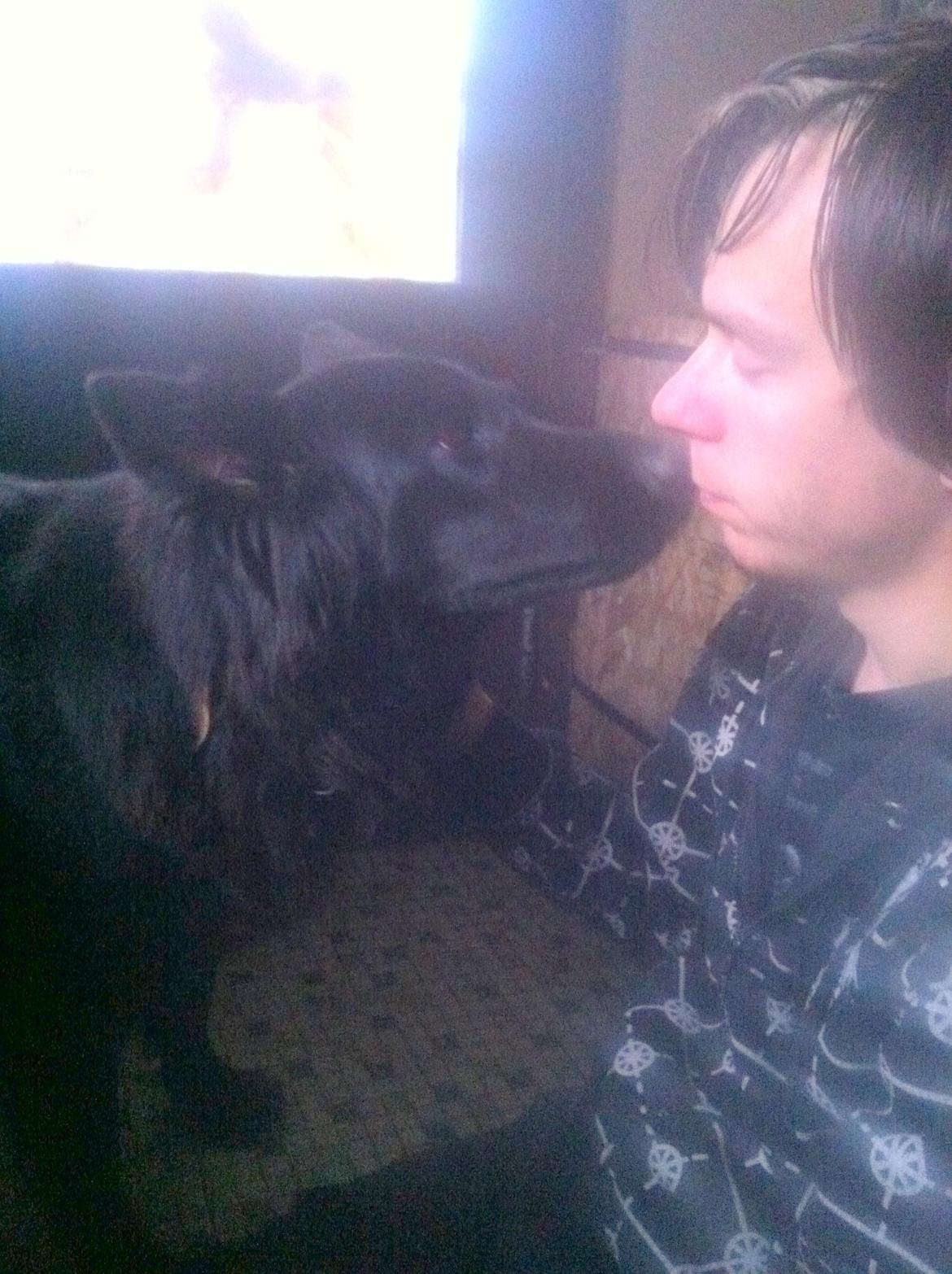 Schæferhund Bamse billede 9