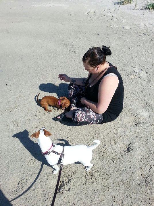 Blanding af racer Liva (R.I.P lille skat - himmelhund) billede 5