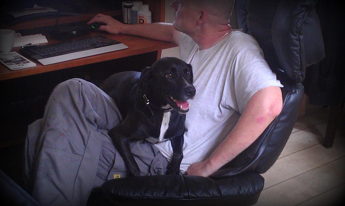 Blanding af racer Lucas billede 9