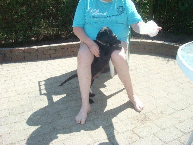 Blanding af racer Kenzo billede 6