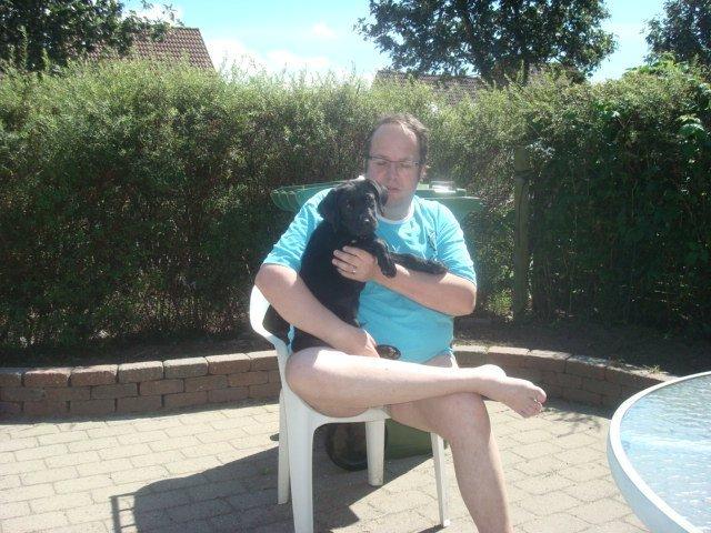 Blanding af racer Kenzo billede 8