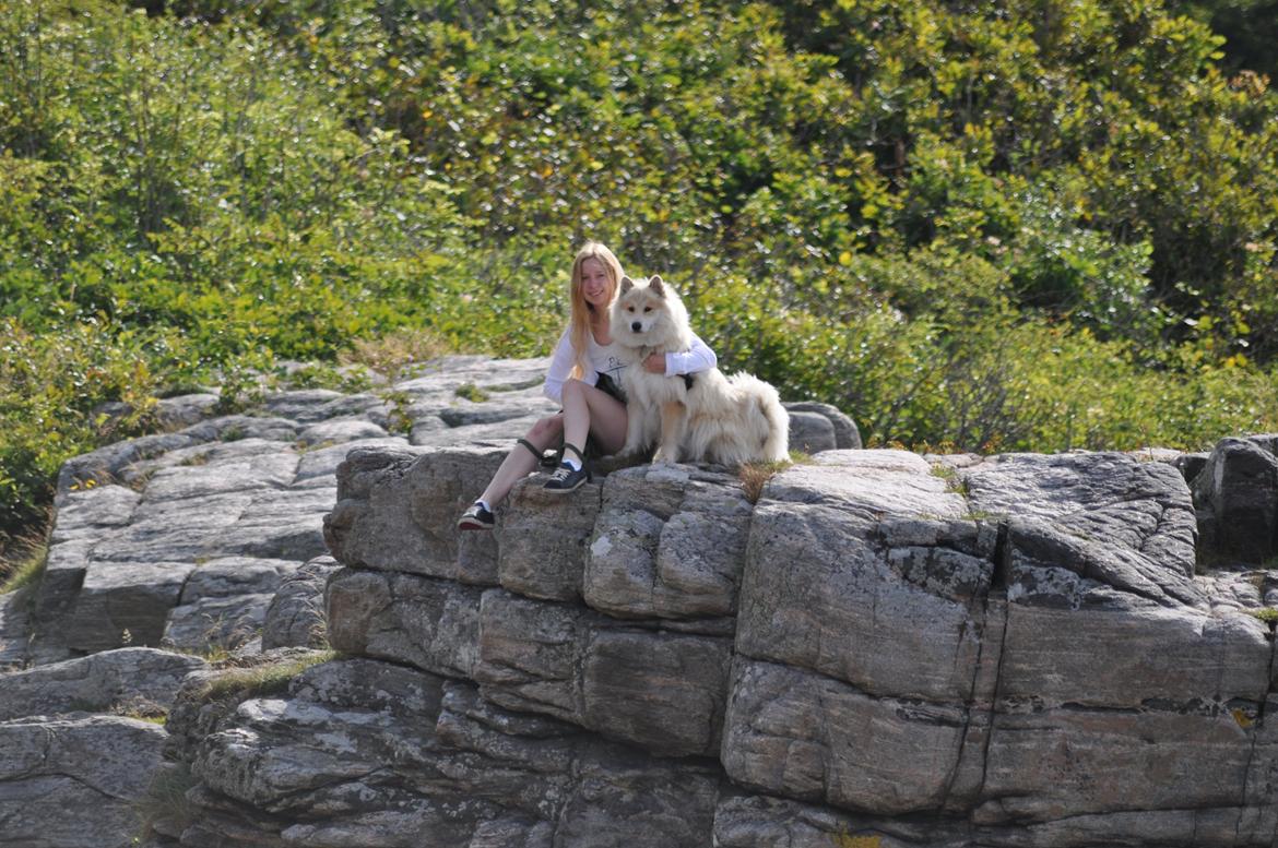 Blanding af racer Gaia - Gaia og mig i Sverige:) billede 13