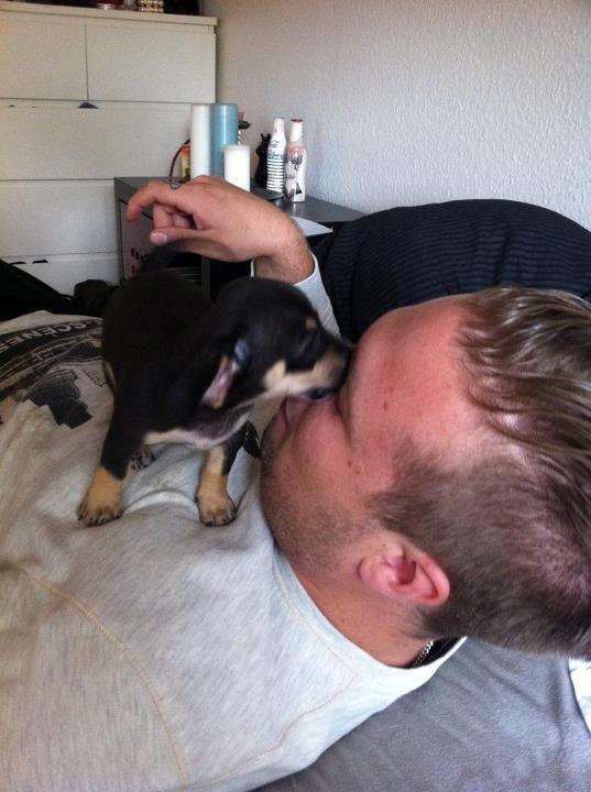 Blanding af racer cookie billede 1