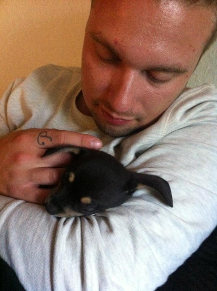 Blanding af racer cookie billede 2