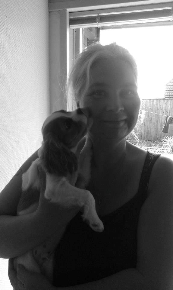 Cavalier king charles spaniel Gi-kan Just Spot On ( Willas ) billede 8