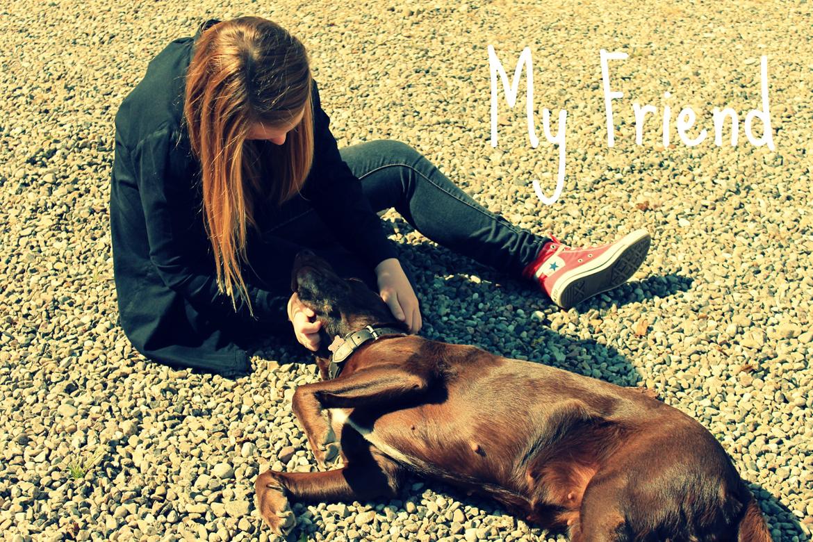 Blanding af racer Ninka billede 11