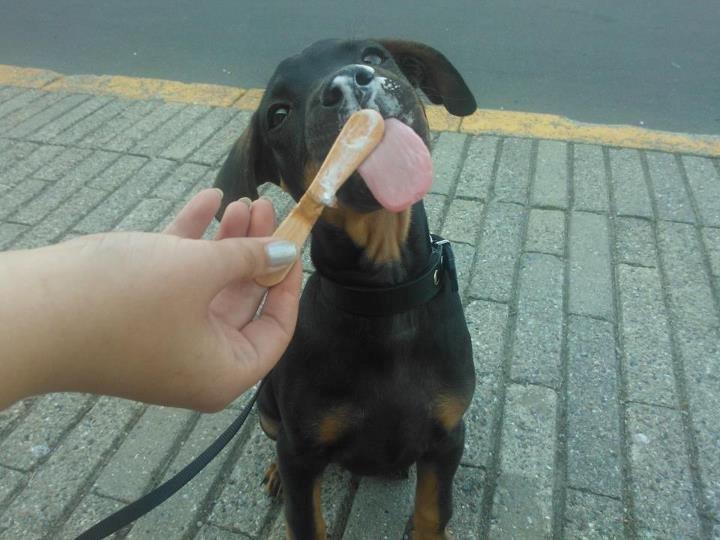 Blanding af racer Benjamin billede 6