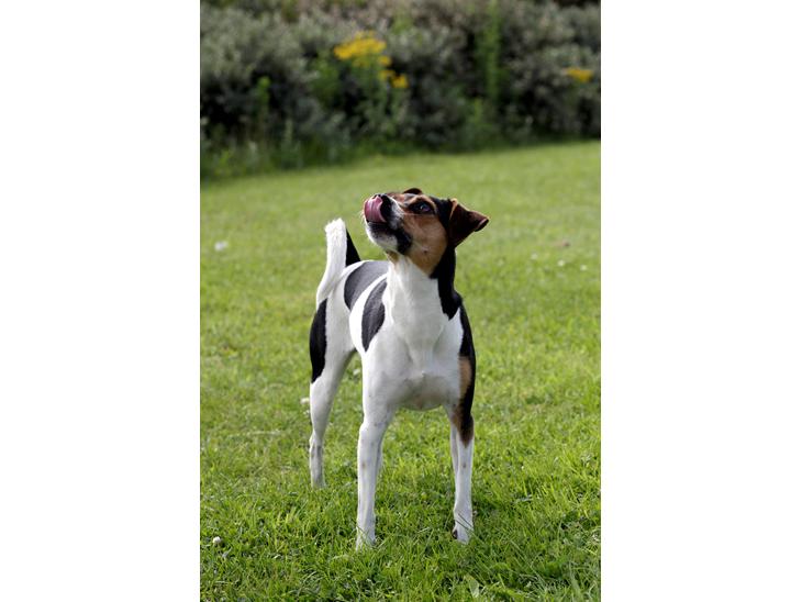 {{currentPhoto.altText}} billede {{currentPhoto.number}}