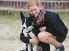 Border collie Balto