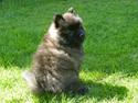 Mittelspitz Fanny