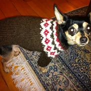 Blanding af racer Coco Chanel