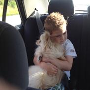 Blanding af racer freja