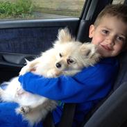 Blanding af racer freja