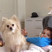 Blanding af racer freja