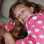 Tibetansk spaniel Askim's La-Go Ninett