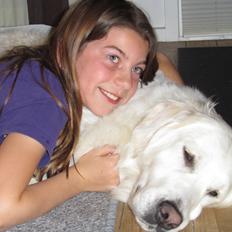 Golden retriever jessie