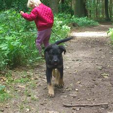 Blanding af racer Tempo