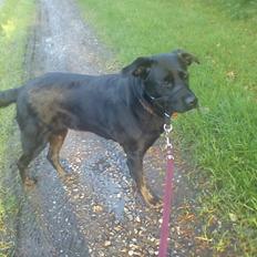 Blanding af racer Kita (Min bedsteveninde)<3