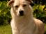 Blanding af racer Bertram - Juli 2012.