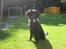 Blanding af racer Tess - 11-08-2012