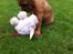 Dogue de bordeaux Shadow of oak Highlander Finni / Loui