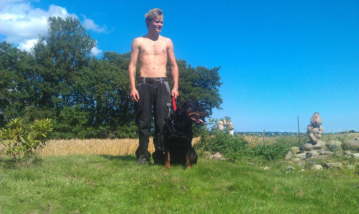 Rottweiler Vom Hause Eisengaurd Diesel billede 3