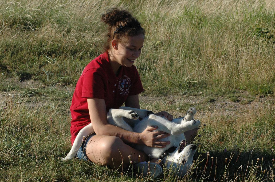 Hvid Schweizisk Hyrdehund Canto *R.I.P. Februar 2013 ;(* - August 2012 billede 14