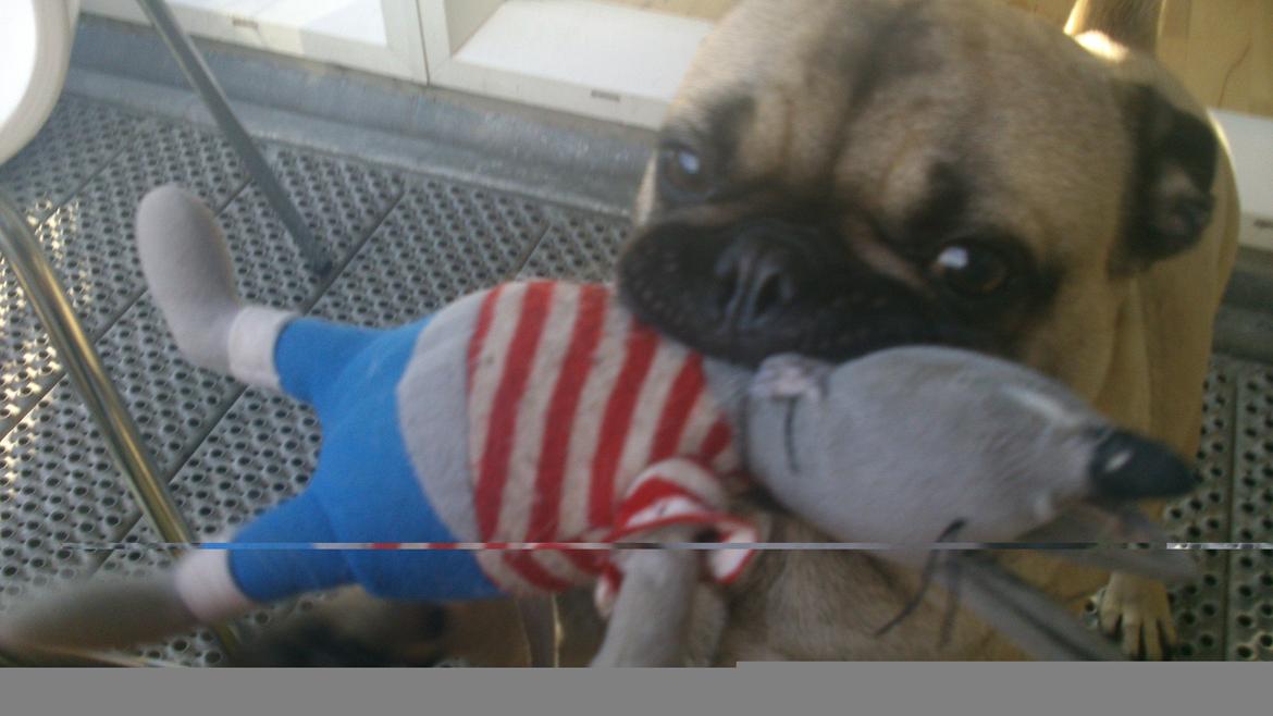 Blanding af racer Ludvig - Sådan siger vi altid Godmorgen, Ingolf er altid i munden  billede 10