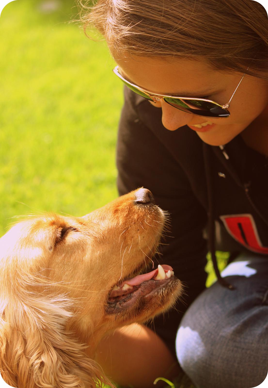 Cocker spaniel Stella - 14/08 - 12: Stella og jeg <3 billede 4