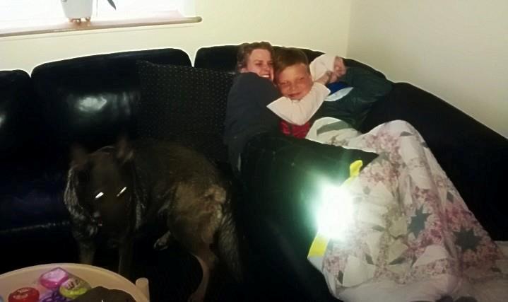 Schæferhund Nica billede 12