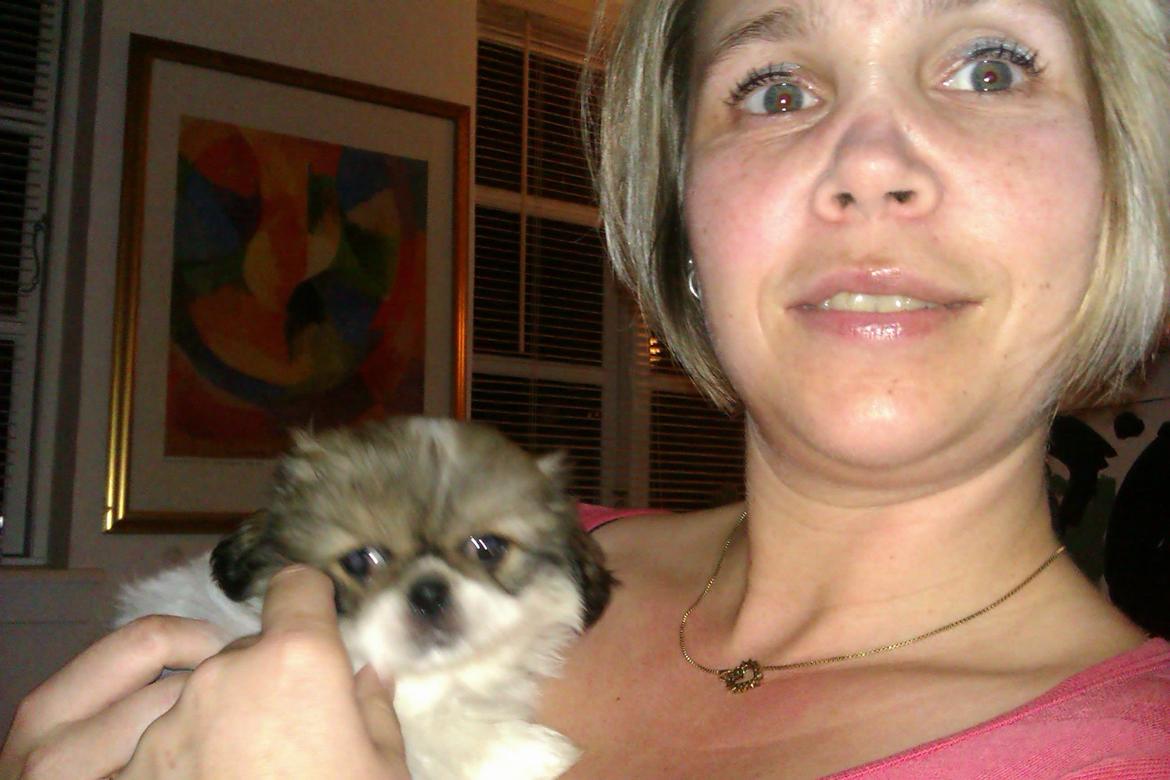 Pekingeser Mollie - Mig og min "mor" <3  billede 13