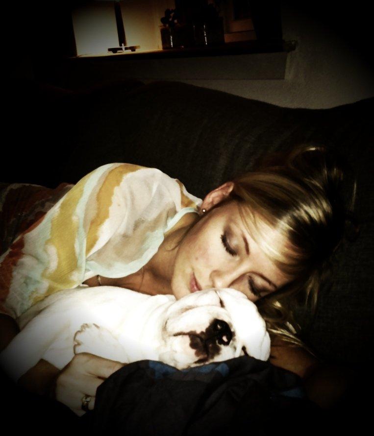 Fransk bulldog Timon billede 9