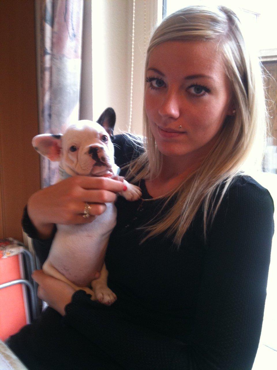 Fransk bulldog Timon billede 10