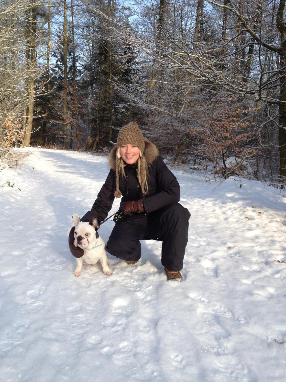 Fransk bulldog Timon billede 16