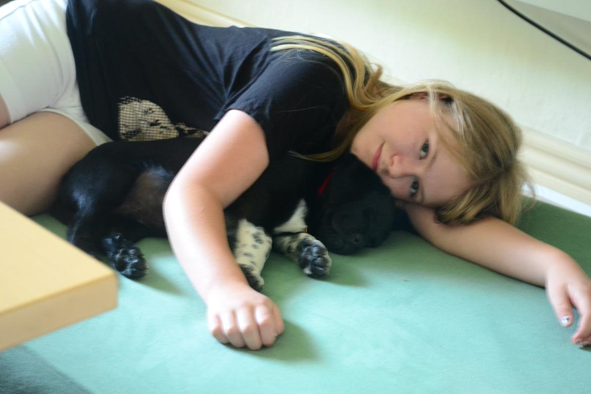 Blanding af racer Djudju billede 9