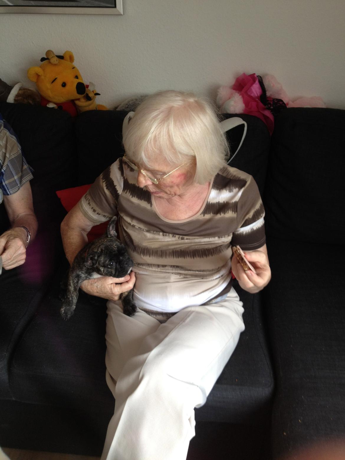 Fransk bulldog Aja billede 11