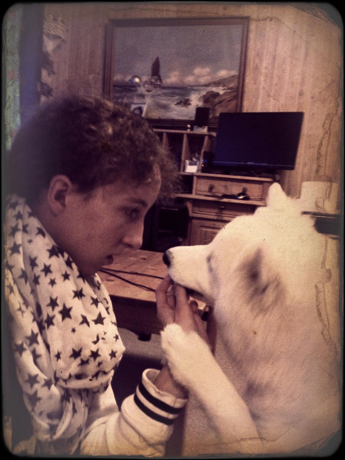 Samojedhund Emma - I LOVE YOU<3 billede 16