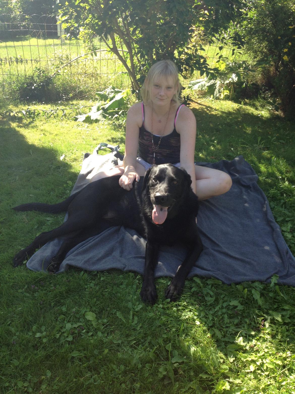 Labrador retriever Balto - min veninde og Balto billede 6