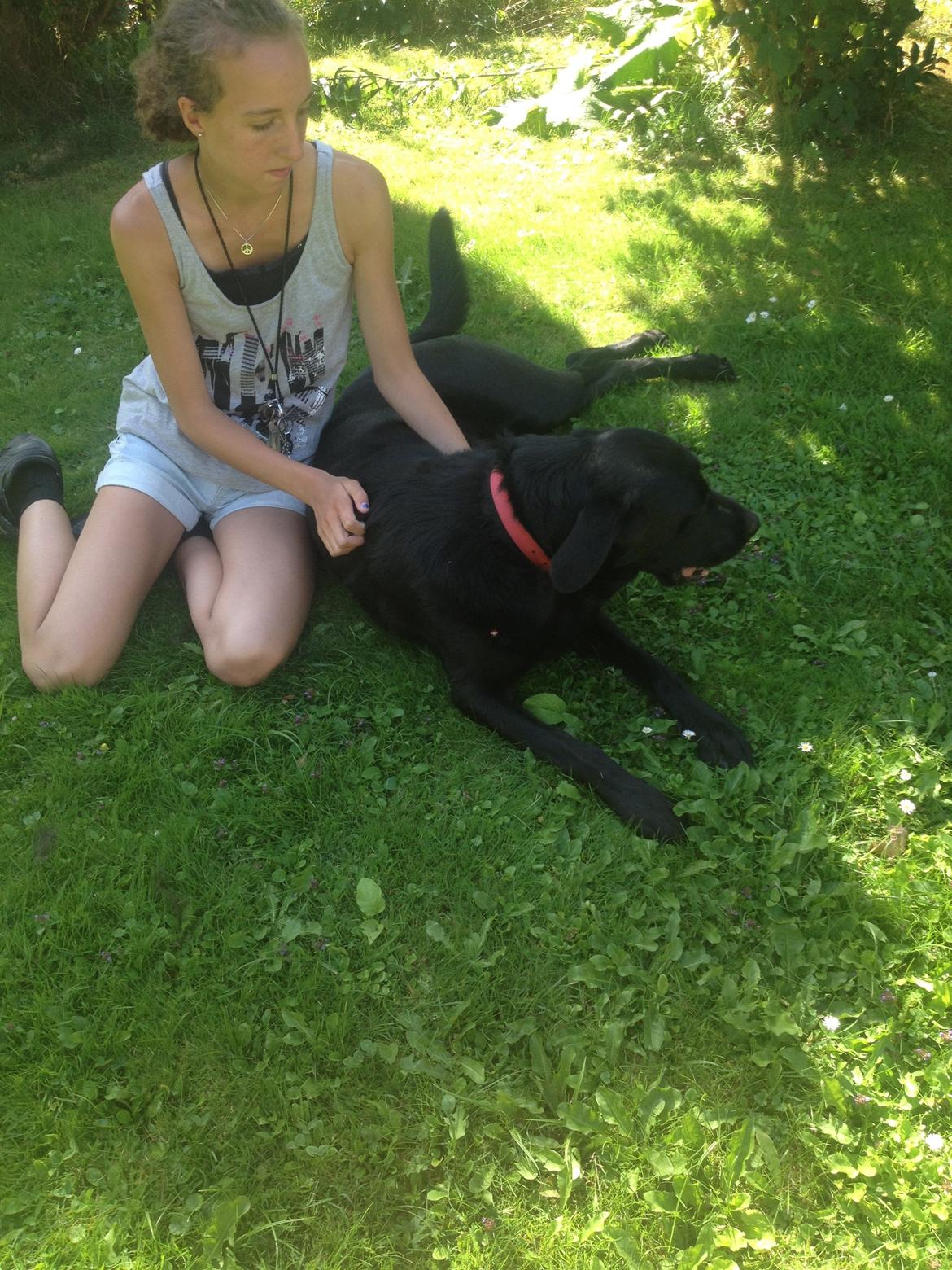 Labrador retriever Balto - mig og Balto billede 7