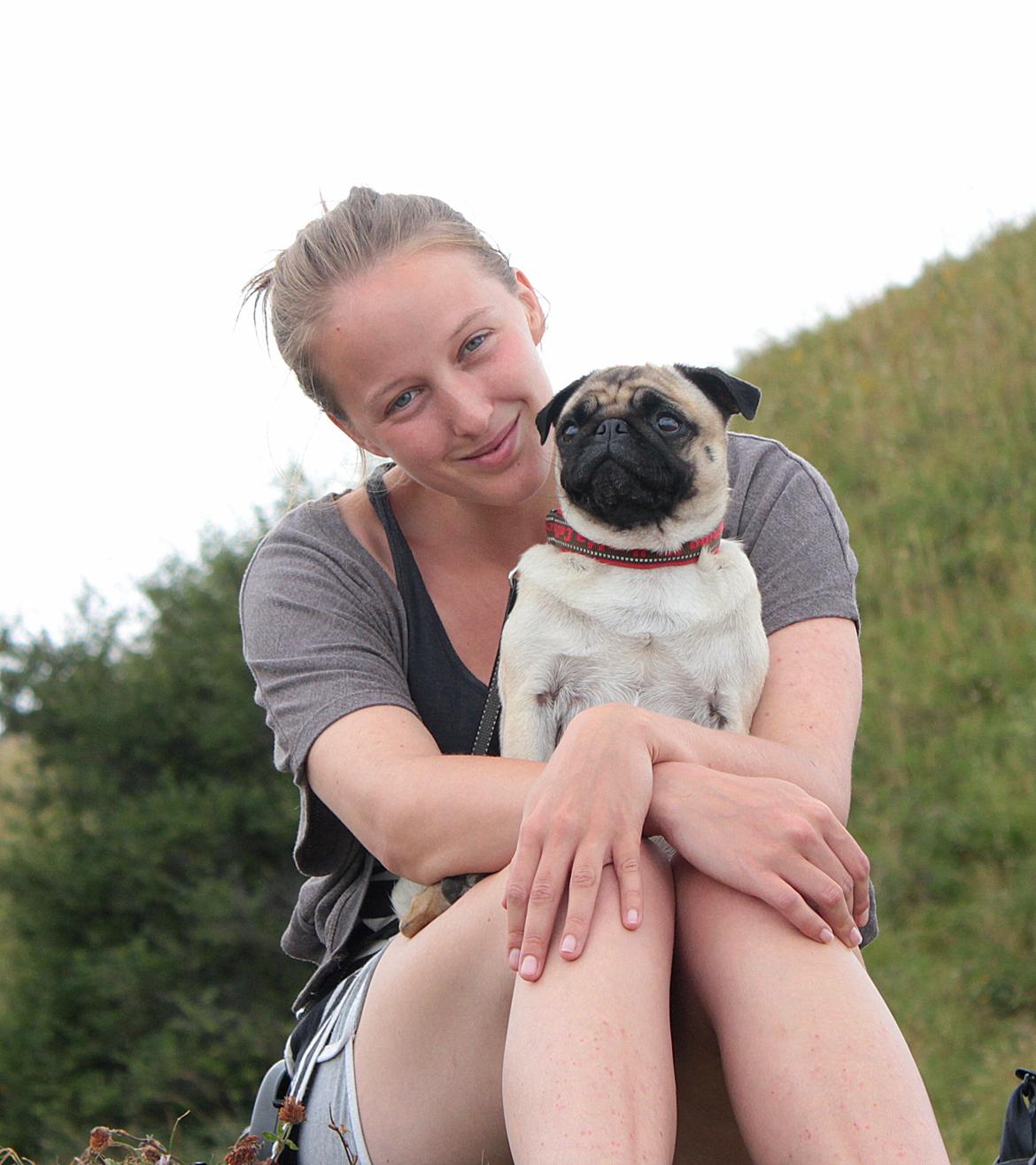 Mops Zoe - Rullepølsen billede 7