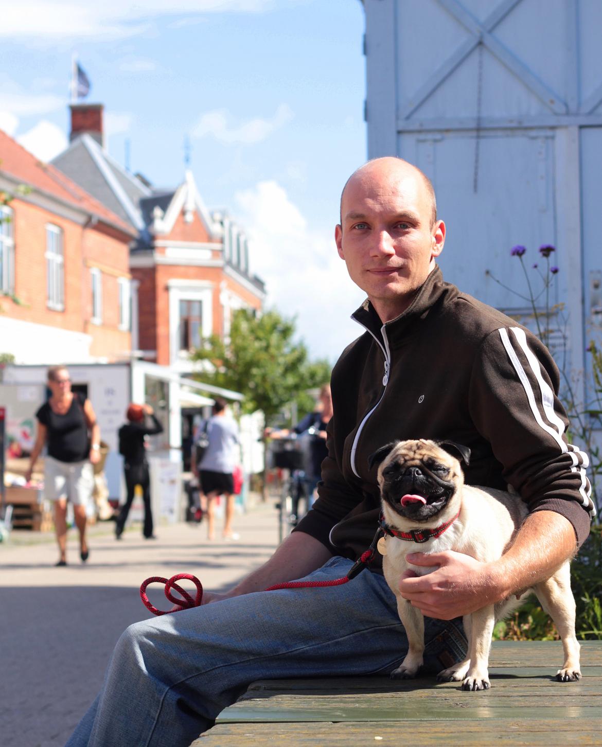 Mops Zoe - Rullepølsen billede 11