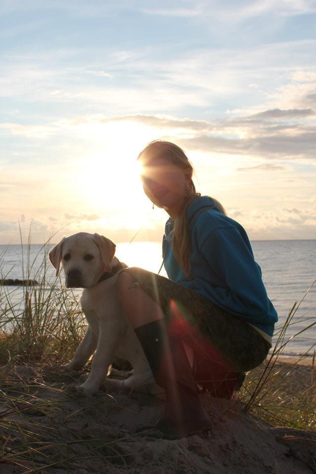 Labrador retriever Abel - På stranden med søs og søs´veninde billede 5