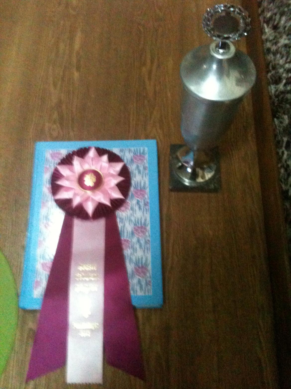 Jack russell terrier Tjalfe. - 26-8-2012. Mest lovende debutant i grav. Bjæverskov:) billede 13