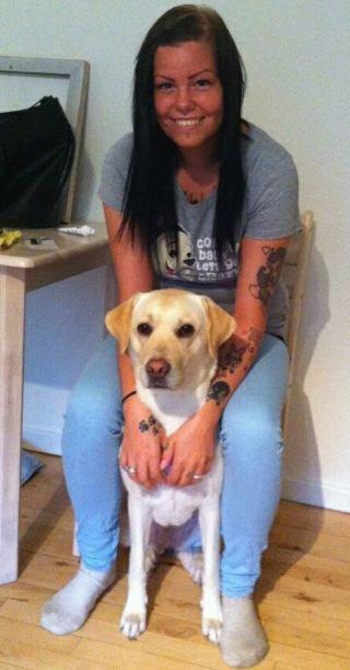 Labrador retriever (Fomel 1) Trine billede 4