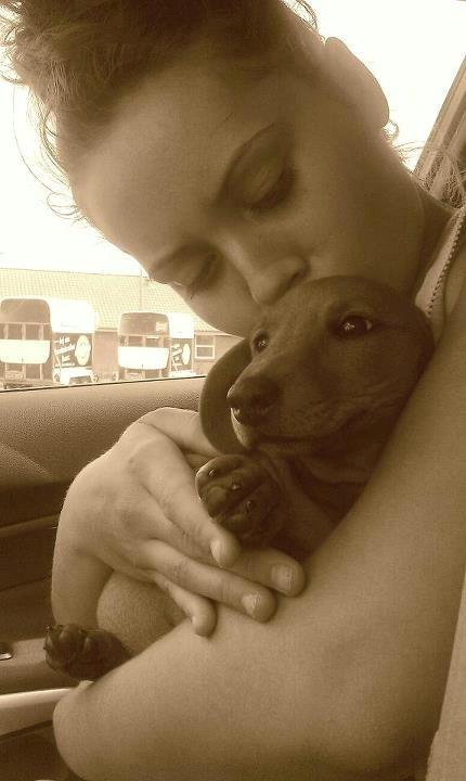 Gravhund Polly - Første køre tur med Rune og Nina.. billede 18