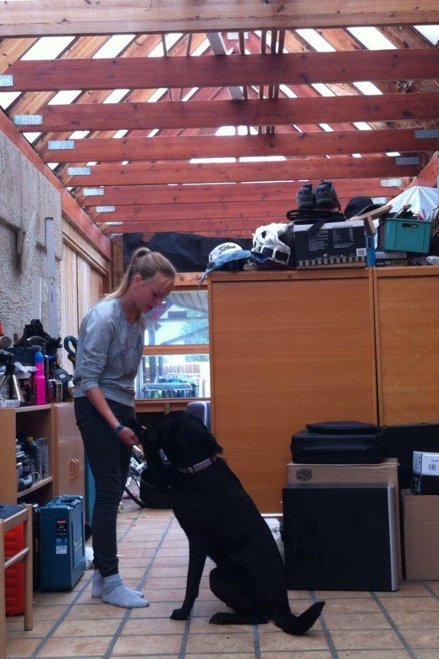 Blanding af racer Kita (Min bedsteveninde)<3 - Gi pote billede 7