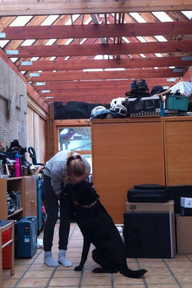 Blanding af racer Kita (Min bedsteveninde)<3 - Hun får lidt ros billede 8