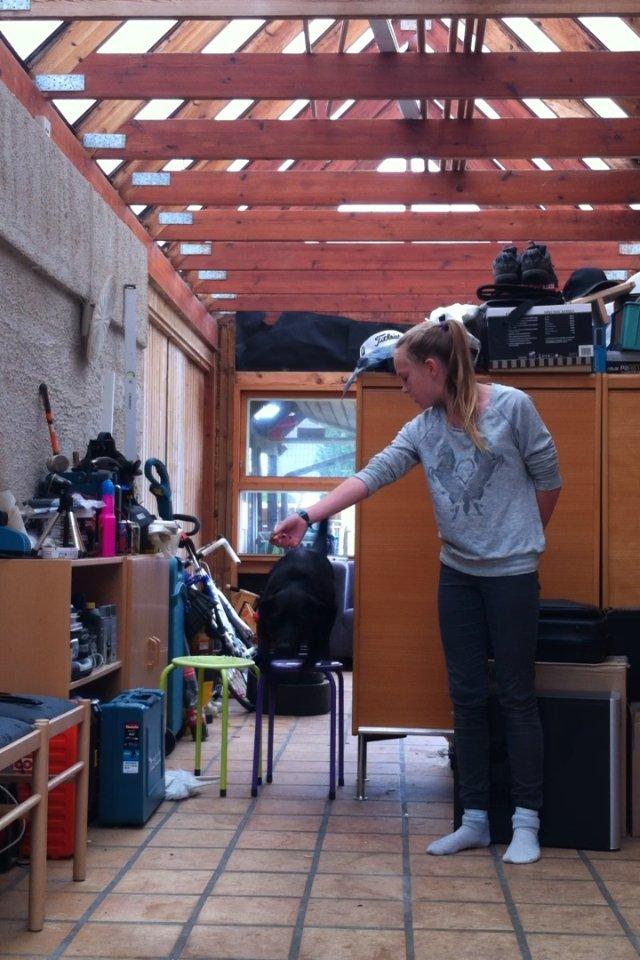 Blanding af racer Kita (Min bedsteveninde)<3 - Springer billede 10